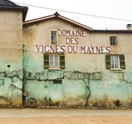 Clos des Vignes du Maynes