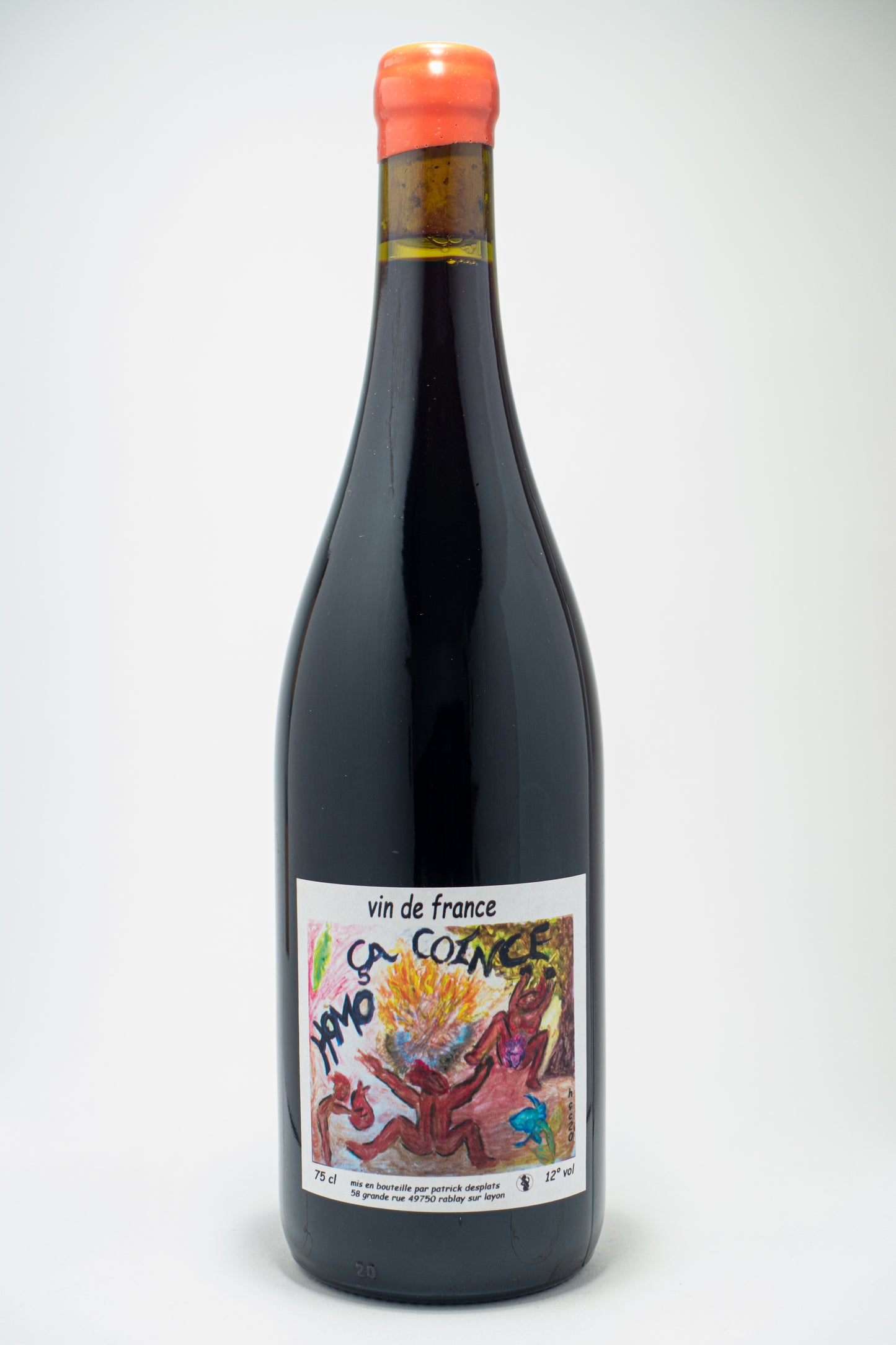 Homo Ça Coince 2020